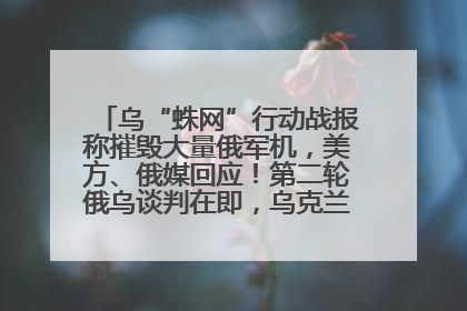 乌“蛛网”行动战报称摧毁大量俄军机，美方、俄媒回应！第二轮俄乌谈判在即，乌克兰提出三大诉求