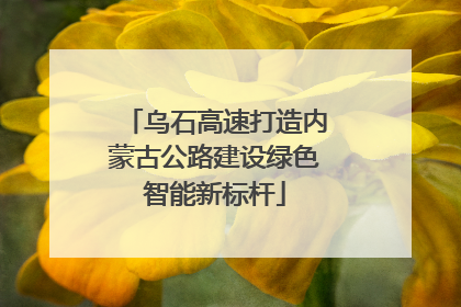 乌石高速打造内蒙古公路建设绿色智能新标杆