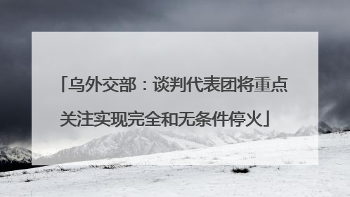 乌外交部：谈判代表团将重点关注实现完全和无条件停火