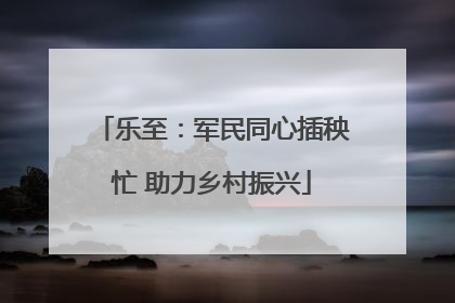 乐至：军民同心插秧忙 助力乡村振兴