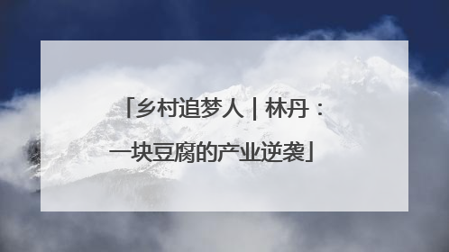 乡村追梦人｜林丹：一块豆腐的产业逆袭