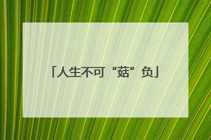 人生不可“菇”负
