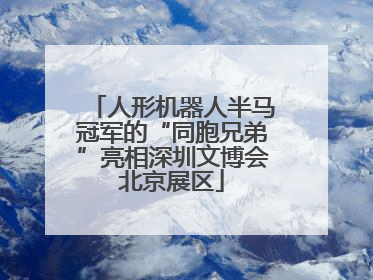 人形机器人半马冠军的“同胞兄弟”亮相深圳文博会北京展区