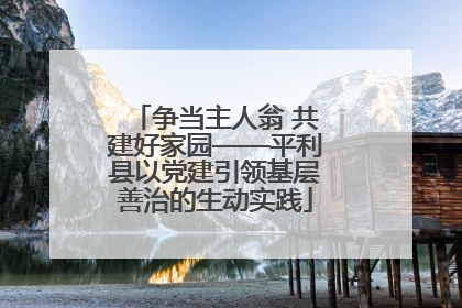 争当主人翁 共建好家园——平利县以党建引领基层善治的生动实践