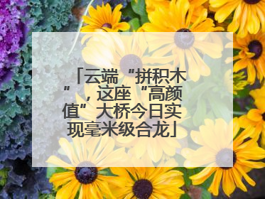 云端“拼积木”，这座“高颜值”大桥今日实现毫米级合龙