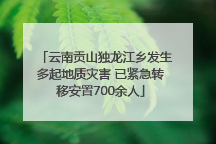 云南贡山独龙江乡发生多起地质灾害 已紧急转移安置700余人