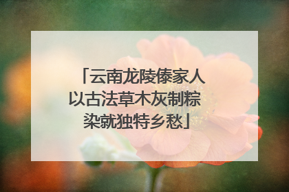 云南龙陵傣家人以古法草木灰制粽 染就独特乡愁
