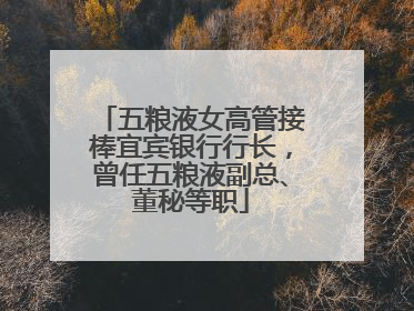 五粮液女高管接棒宜宾银行行长，曾任五粮液副总、董秘等职