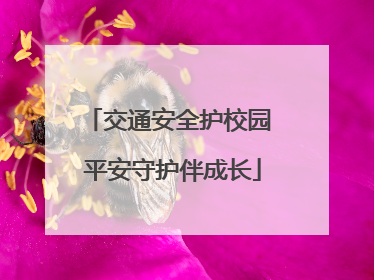 交通安全护校园 平安守护伴成长