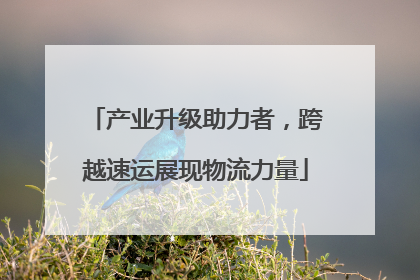 产业升级助力者，跨越速运展现物流力量