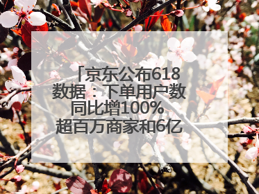 京东公布618数据：下单用户数同比增100% 超百万商家和6亿消费者受益AI