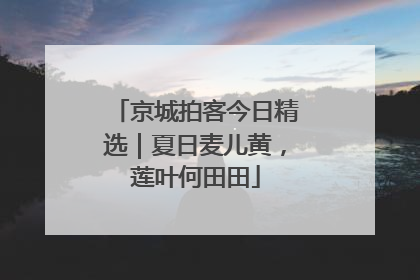 京城拍客今日精选｜夏日麦儿黄，莲叶何田田