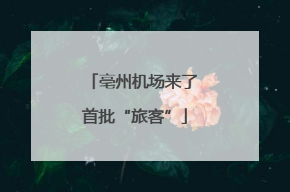 亳州机场来了首批“旅客”