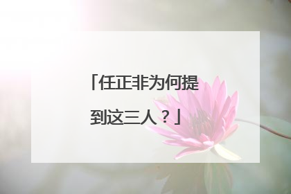 任正非为何提到这三人？