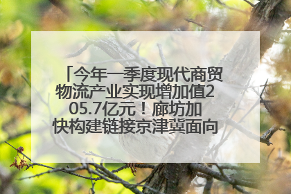 今年一季度现代商贸物流产业实现增加值205.7亿元！廊坊加快构建链接京津冀面向全世界的物流通道