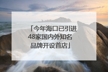 今年海口已引进48家国内外知名品牌开设首店