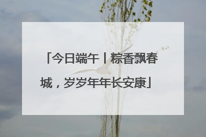 今日端午丨粽香飘春城，岁岁年年长安康
