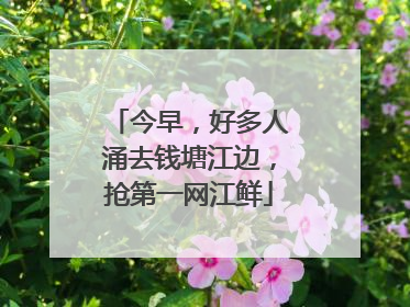 今早，好多人涌去钱塘江边，抢第一网江鲜