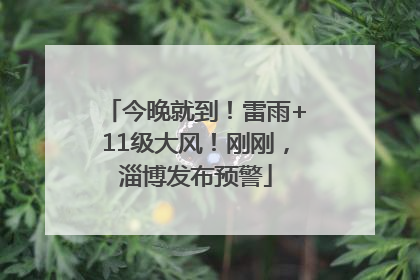 今晚就到！雷雨+11级大风！刚刚，淄博发布预警