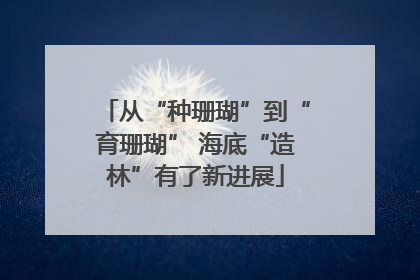 从“种珊瑚”到“育珊瑚” 海底“造林”有了新进展