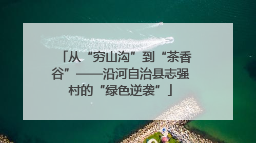 从“穷山沟”到“茶香谷”——沿河自治县志强村的“绿色逆袭”