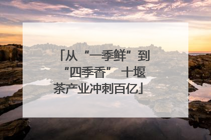 从“一季鲜”到“四季香” 十堰茶产业冲刺百亿