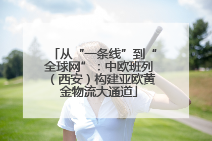从“一条线”到“全球网”：中欧班列（西安）构建亚欧黄金物流大通道