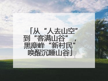 从“人去山空”到“客满山谷”，黑麋峰“新村民”唤醒沉睡山谷
