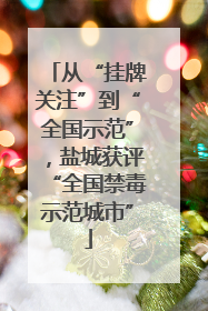 从“挂牌关注”到“全国示范”，盐城获评“全国禁毒示范城市”
