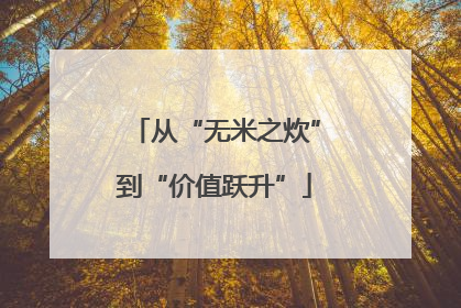 从“无米之炊”到“价值跃升”