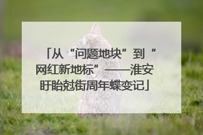 从“问题地块”到“网红新地标”——淮安盱眙尅街周年蝶变记