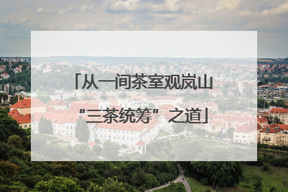 从一间茶室观岚山“三茶统筹”之道