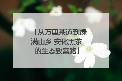 从万里茶道到绿满山乡 安化黑茶的生态致富路