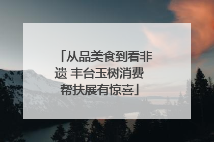 从品美食到看非遗 丰台玉树消费帮扶展有惊喜