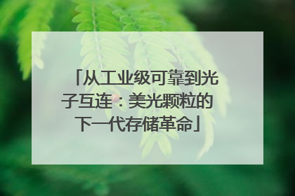 从工业级可靠到光子互连：美光颗粒的下一代存储革命