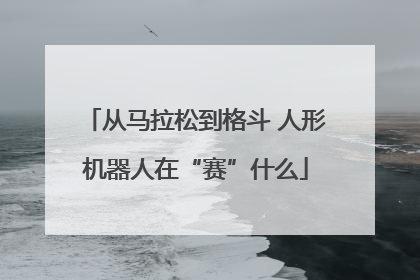 从马拉松到格斗 人形机器人在“赛”什么