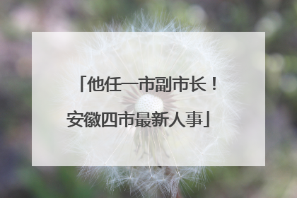 他任一市副市长！安徽四市最新人事