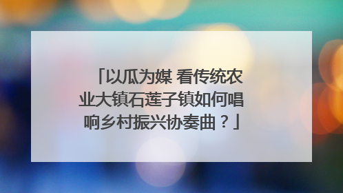 以瓜为媒 看传统农业大镇石莲子镇如何唱响乡村振兴协奏曲？