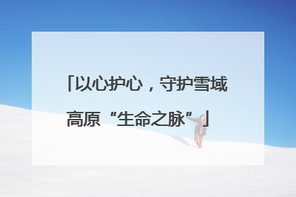 以心护心，守护雪域高原“生命之脉”