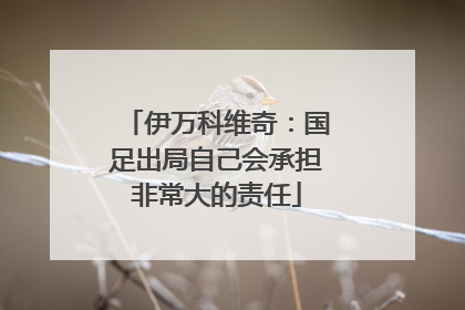 伊万科维奇：国足出局自己会承担非常大的责任