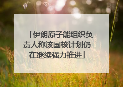 伊朗原子能组织负责人称该国核计划仍在继续强力推进