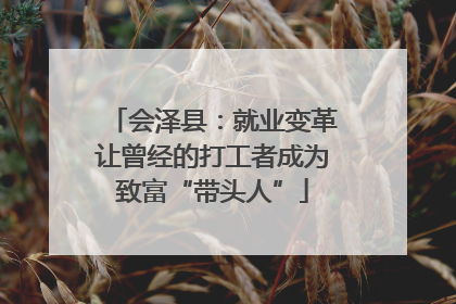 会泽县：就业变革让曾经的打工者成为致富“带头人”