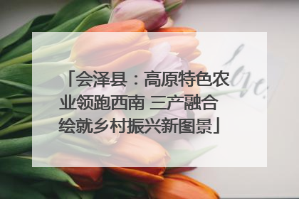 会泽县：高原特色农业领跑西南 三产融合绘就乡村振兴新图景