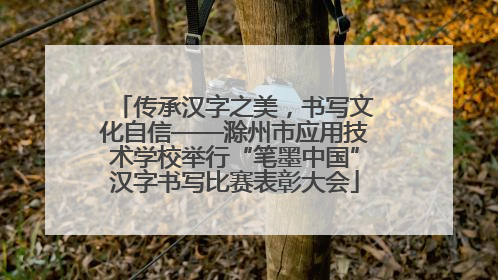 传承汉字之美，书写文化自信——滁州市应用技术学校举行“笔墨中国”汉字书写比赛表彰大会
