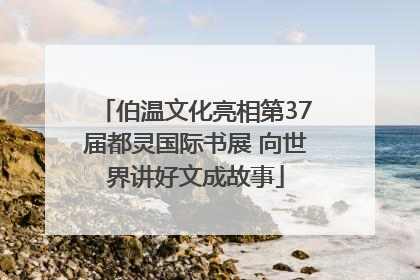 伯温文化亮相第37届都灵国际书展 向世界讲好文成故事