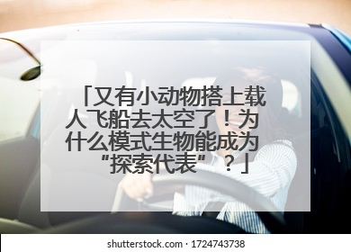 又有小动物搭上载人飞船去太空了！为什么模式生物能成为“探索代表”？