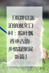 双牌县泷泊镇观文口村：粽叶飘香承古韵 乡情凝聚展新篇