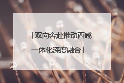 双向奔赴推动西咸一体化深度融合