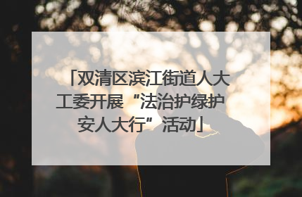双清区滨江街道人大工委开展“法治护绿护安人大行”活动