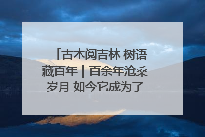 古木阅吉林 树语藏百年｜百余年沧桑岁月 如今它成为了“镇园之宝”